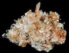 Orange Creedite Crystal Cluster - Durango, Mexico #51650-1